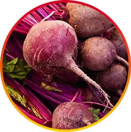 Betaine HepatoBurn